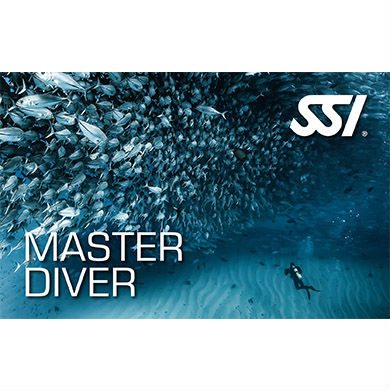 ssi master diver